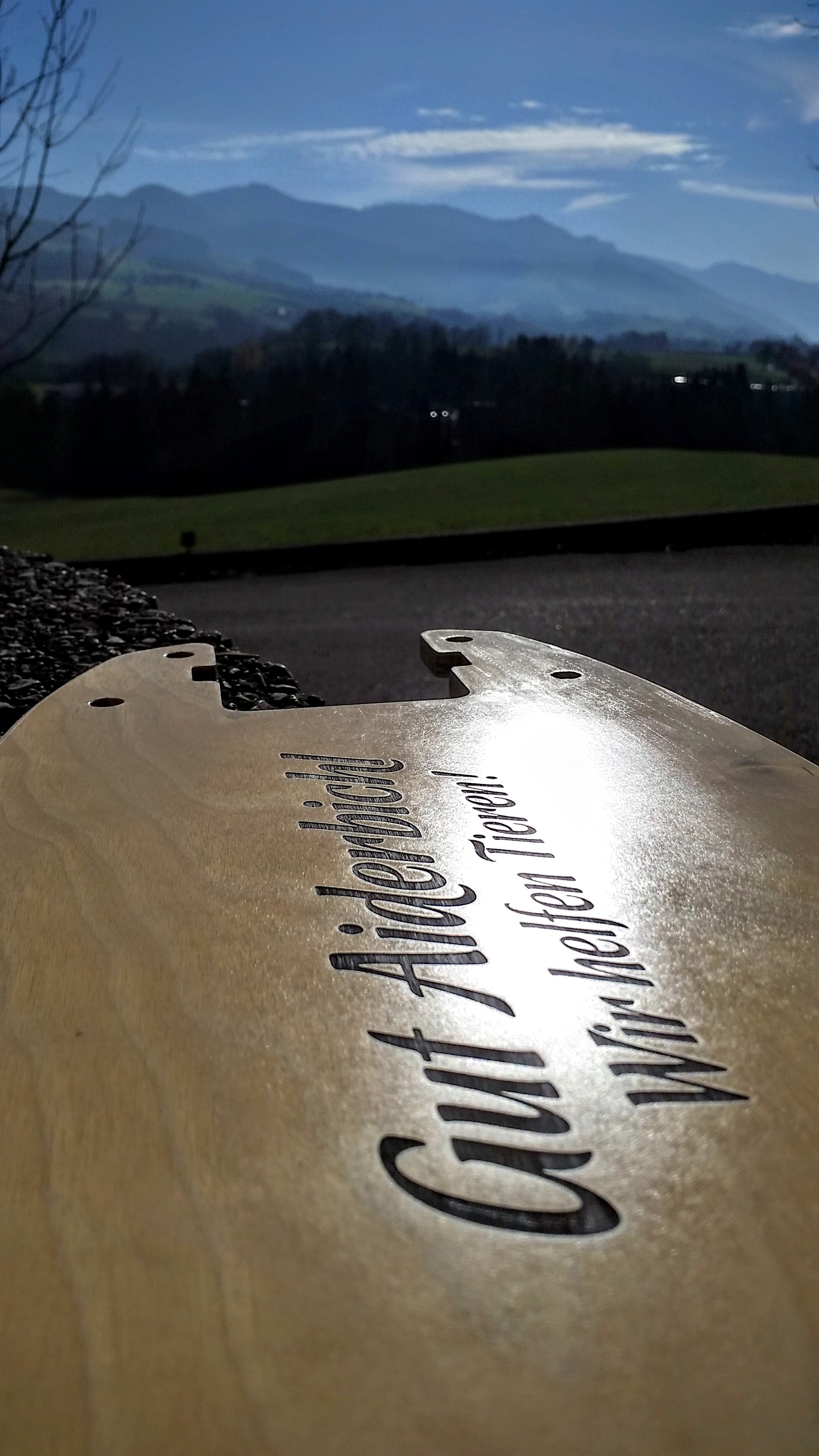 Trittbrett XL (Holz)